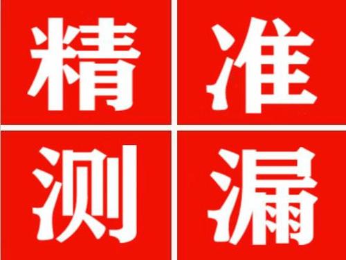 凌云尚嘉漏水精准查找