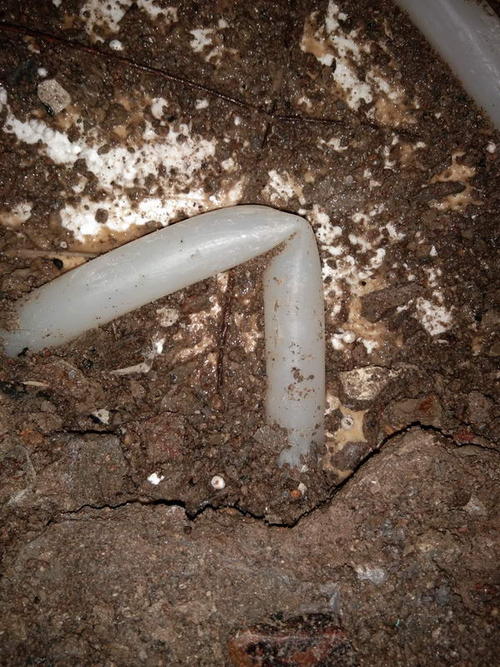 凌云堵点精准查找